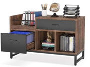Lateral Filing Cabinet with 2 Drawers & Open Shelves