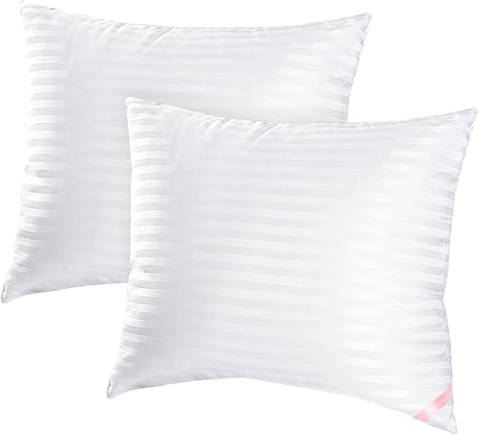 Throw Pillow Inserts, 2-Pack