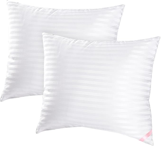 Throw Pillow Inserts, 2-Pack