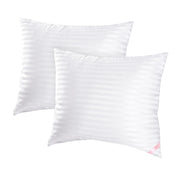 Throw Pillow Inserts, 2-Pack
