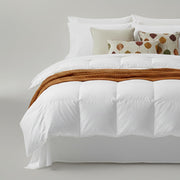 Hypoallergenic All-Season Duvet Insert