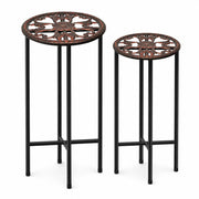 XYCCRX 2 Pack Tall Plant Stands, Metal Pot Holders for Indoor Outdoor Use