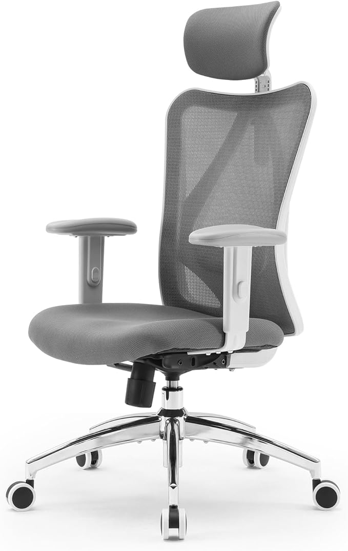 Ergonomic Mesh Office Chair with Adjustable Headrest & Lumbar Support