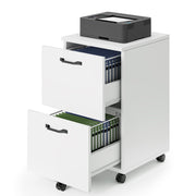 DUMOS 2 Drawer Mobile File Cabinet, Small Under Desk Storage Cabinet, White