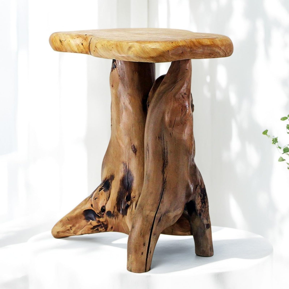 Cedar Stump End Table