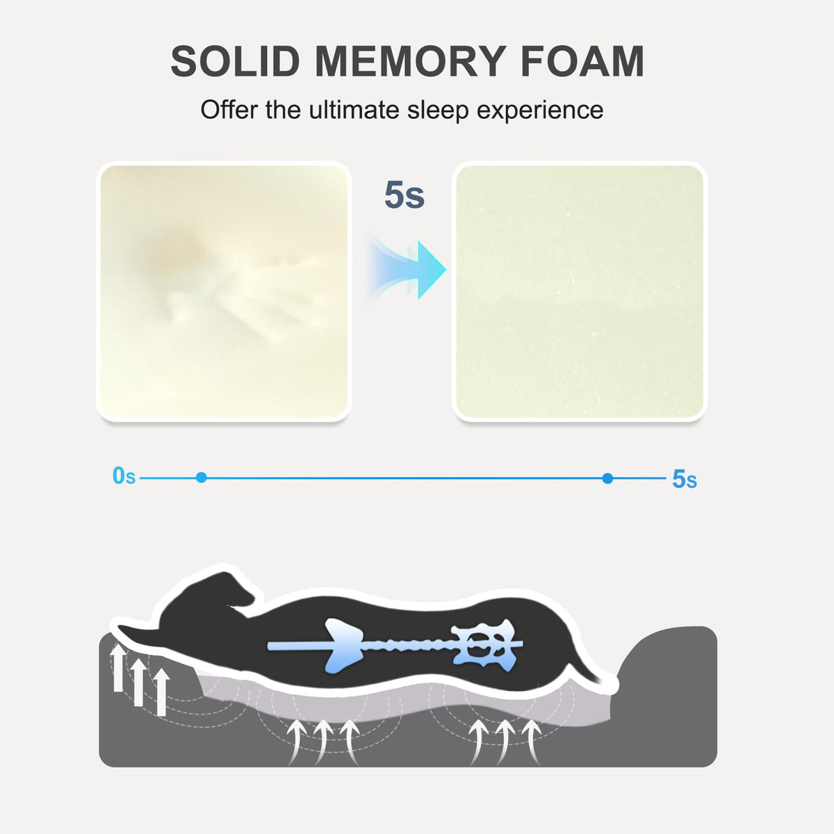 Large Orthopedic Memory Foam Dog Bed