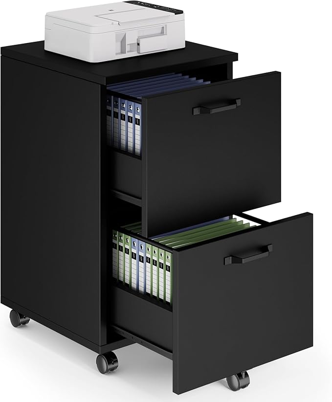 2-Drawer Rolling File Cabinet with Printer Stand