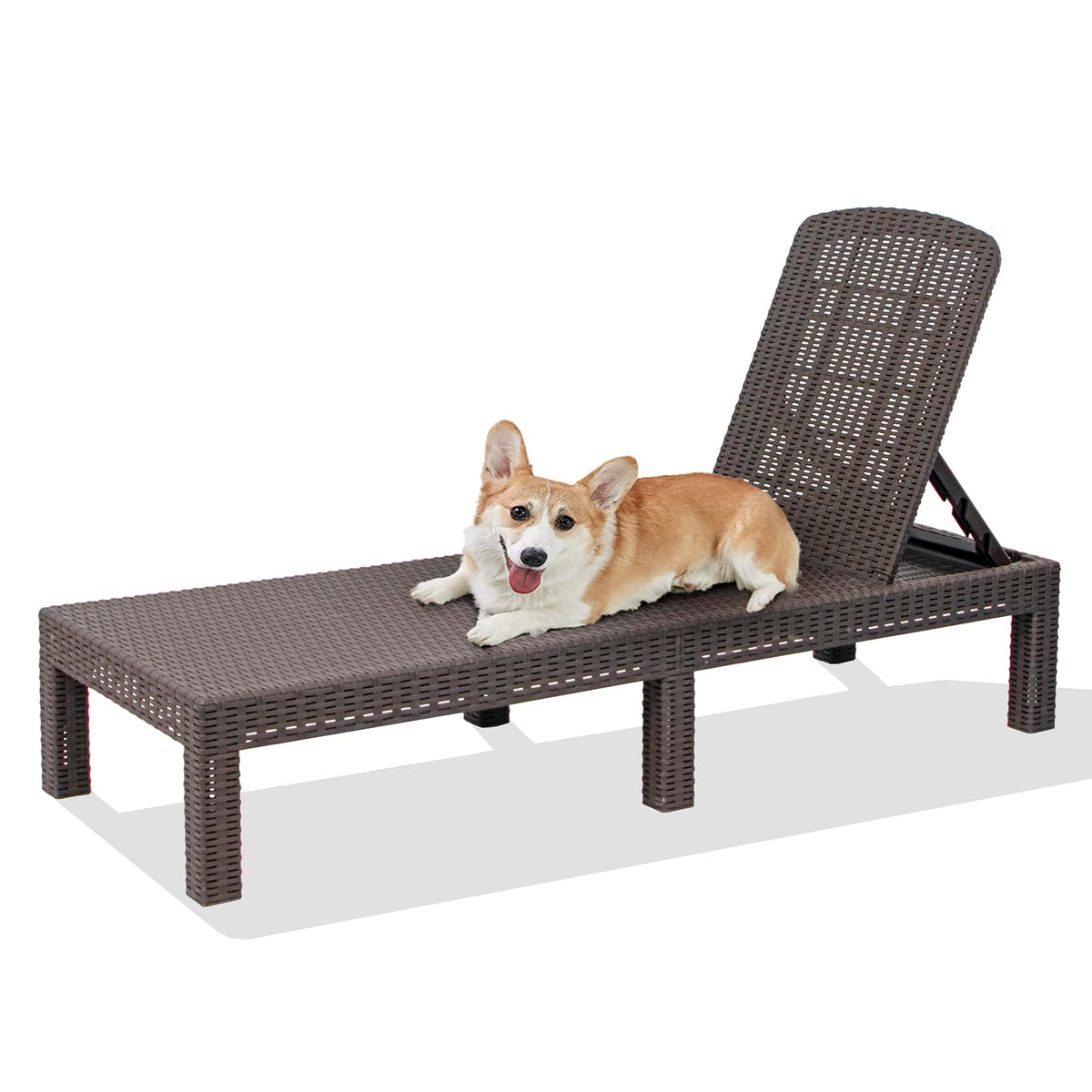 DIMAR GARDEN Outdoor Chaise Lounge,Resin Pool Lounge Chair Waterproof Recliner Beach Chairs, Mocha