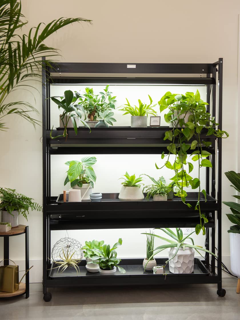 Gardener's Supply Company 3-Tier Grow Light Plant Stand with Three Watertight Shelf Trays | Includes 6 Bright 6500K Color LED Full-Spectrum Bulbs for Optimal Indoor Growing