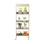 Vego garden 4 Tier Indoor Rolling Metal Corner Plant Stand with Grow Light, Full Spectrum LED Grow Light, Plant Rack for Seed Starting, Leafy, Herbs, Fruits & Microgreens