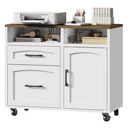 2-Drawer Mobile File Cabinet