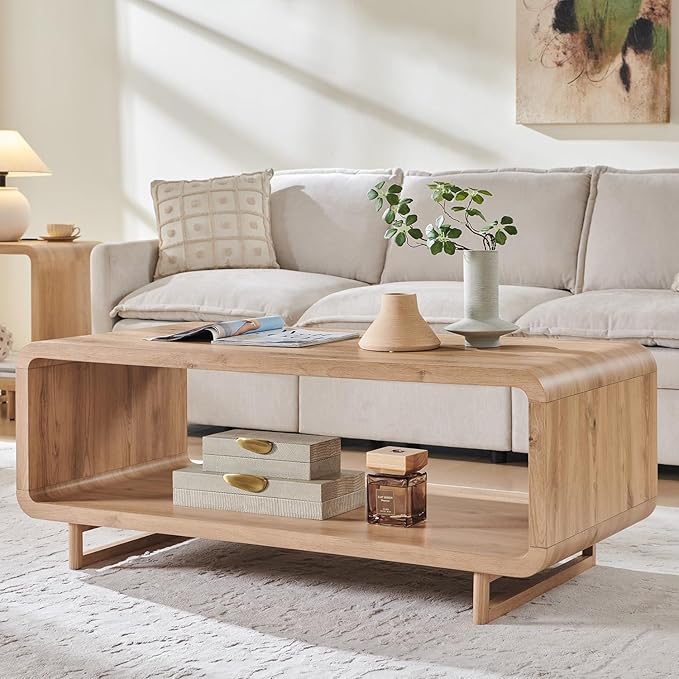 48" 2-Tier Coffee Table with Storage Shelf