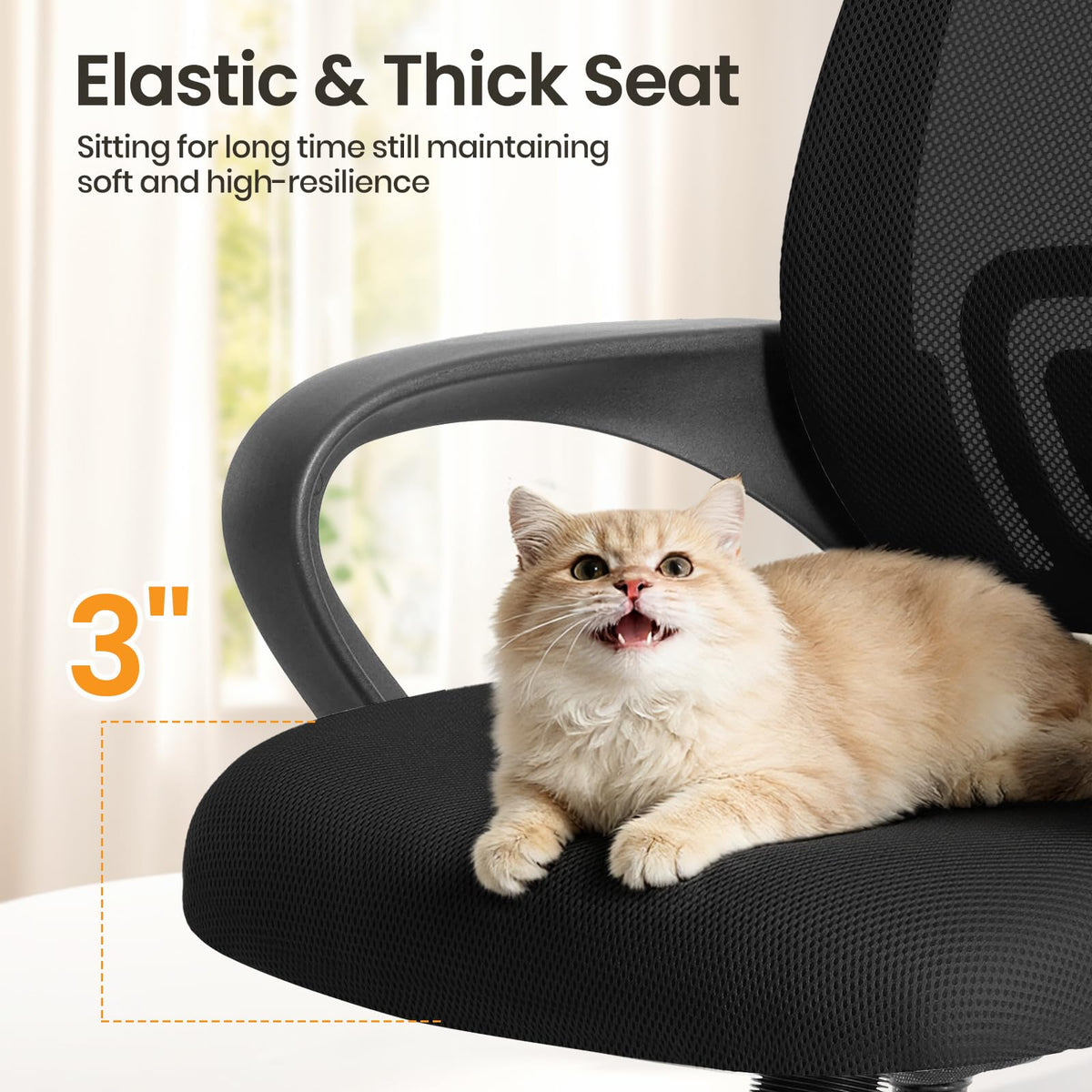 OLIXIS Office Desk Chair, Ergonomic Computer Chair, Lumbar Support