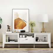 Glass Door TV Stand