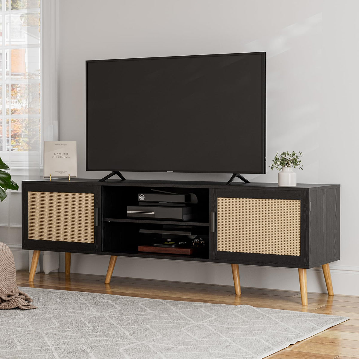 Rattan Door TV Stand