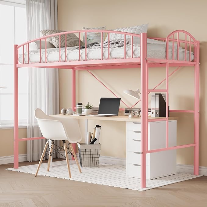 Twin Metal Loft Bed with Ladder