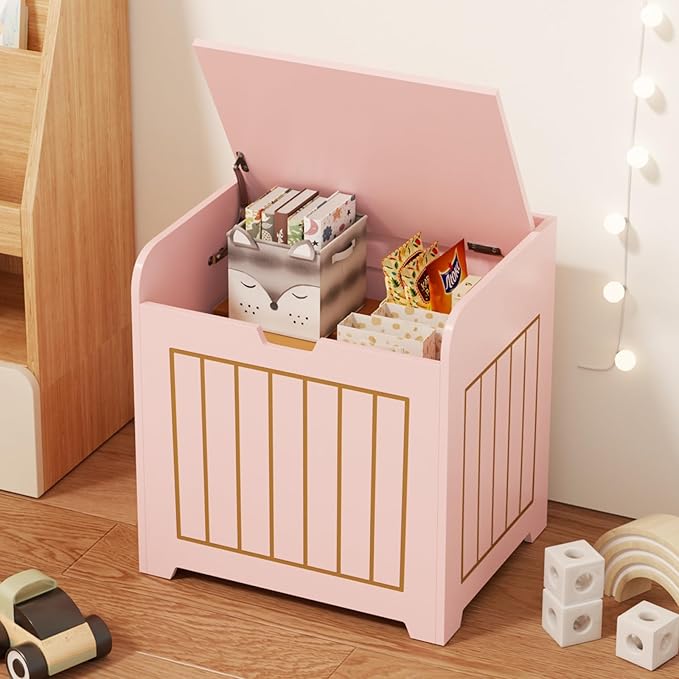 Small Cube Storage Organizer with Door