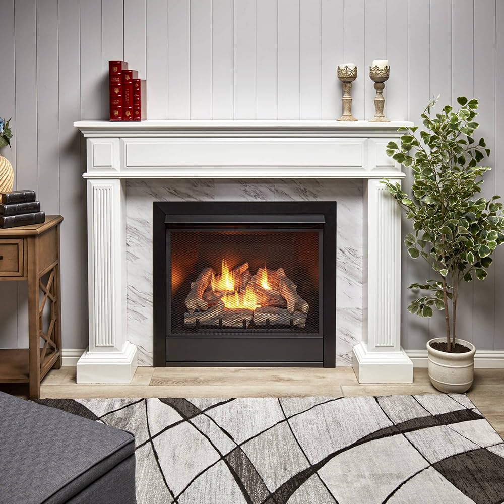 32" Ventless Dual Fuel Gas Fireplace Insert with Remote Control