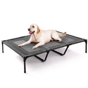 XL Elevated Dog Bed