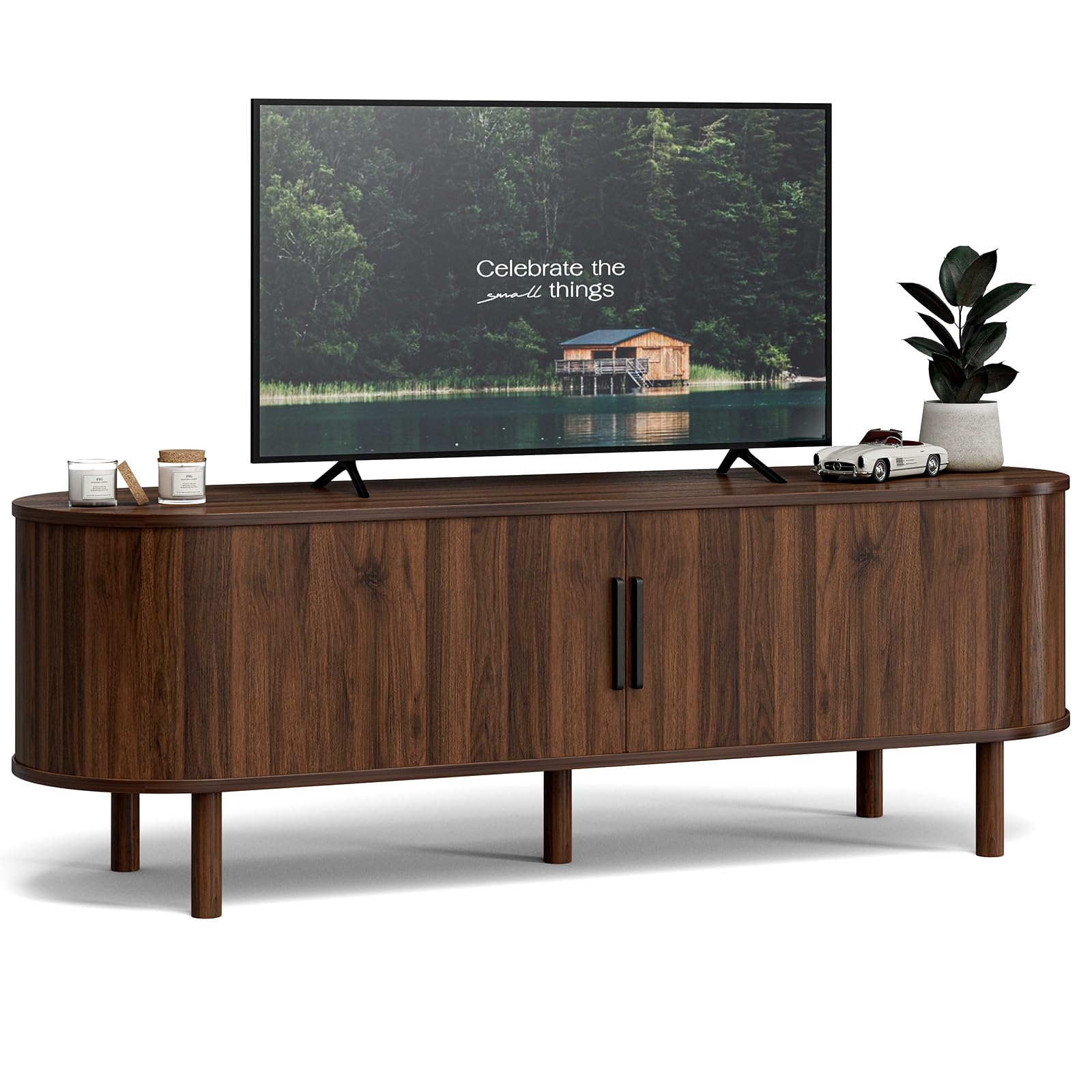 Mid-Century TV Stand with Storage