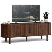 Mid-Century TV Stand with Storage