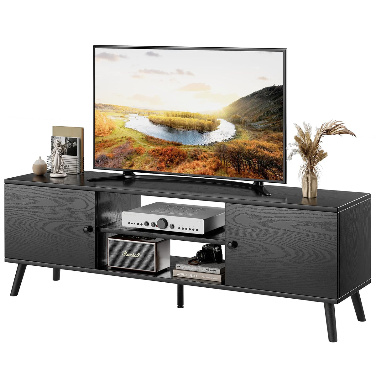 Mid-Century TV Stand with Storage