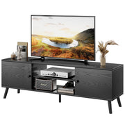 Mid-Century TV Stand with Storage