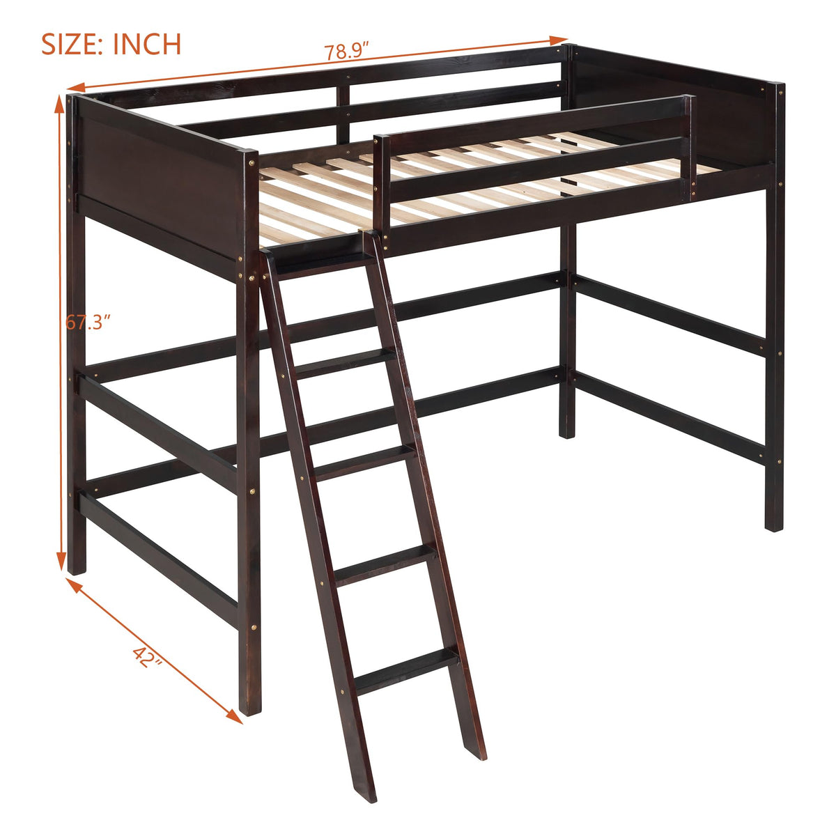 SOFTSEA Twin Size Loft Bed for Teens Adults, Solid Wood High Loft Bed Frame with Safety Rails & Ladder, Espresso