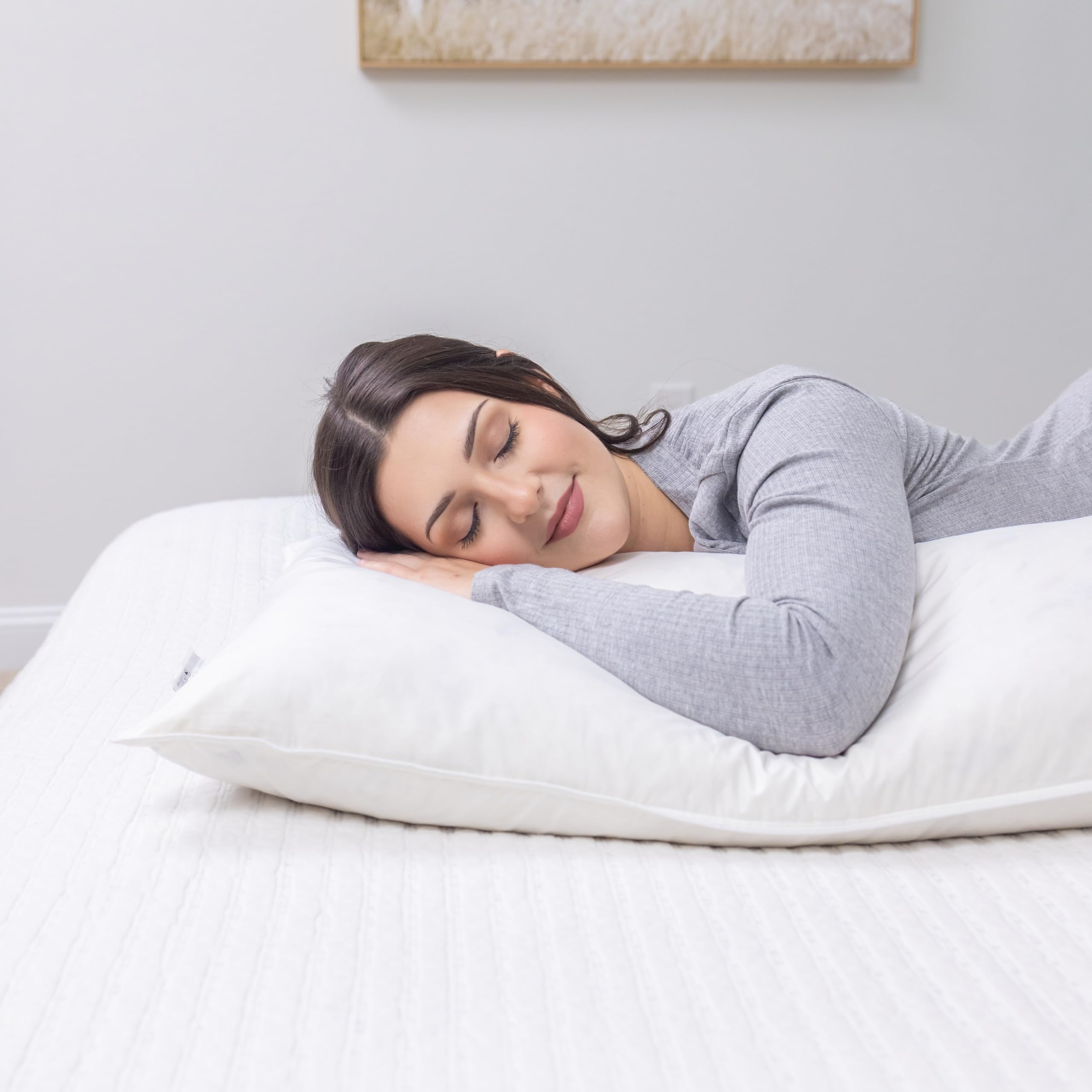 White Goose Down & Feather Body Pillow