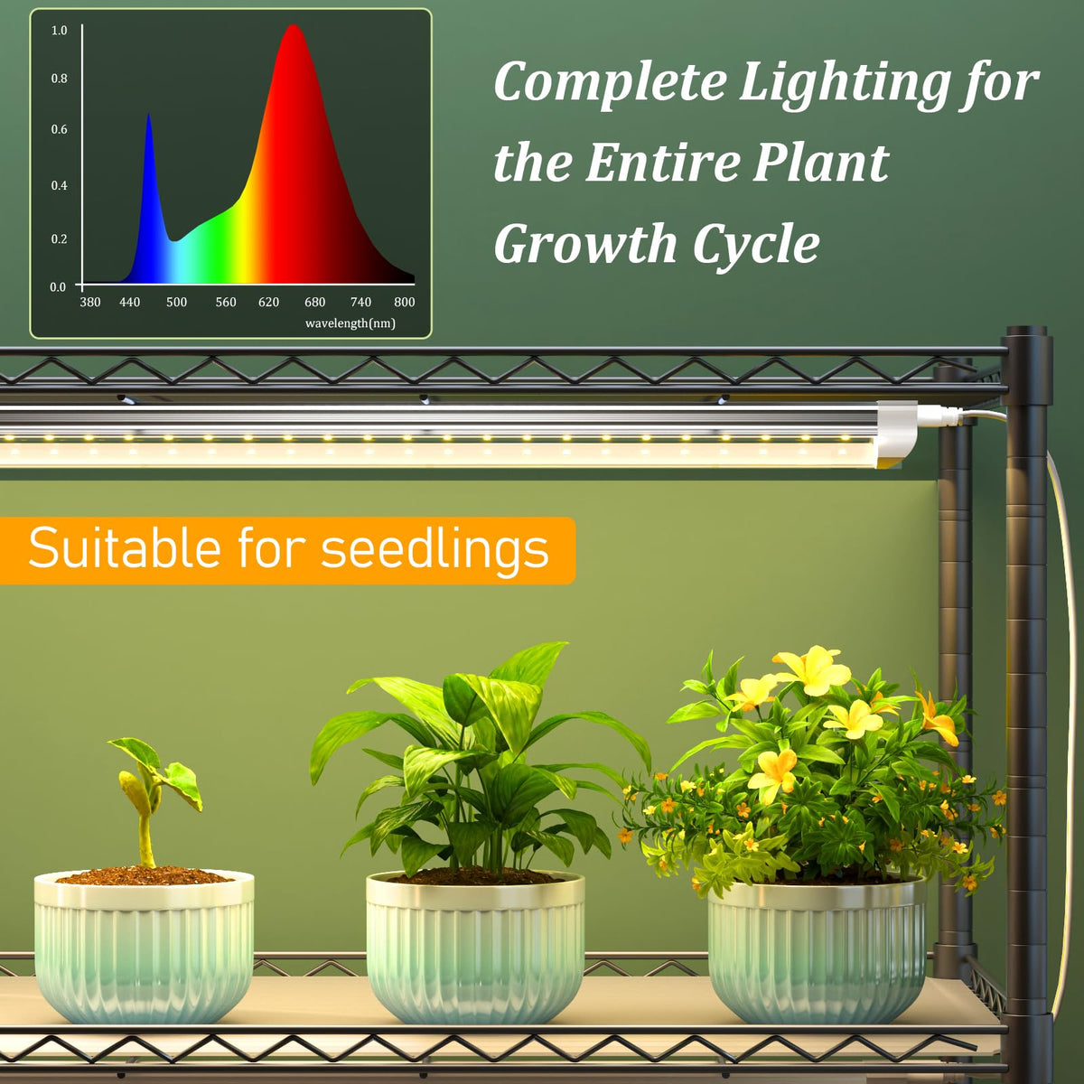 Gaudeoo Shelf Stand with Grow Lights, 6-Tier,8×24W 5000K, 29"x13.5"x73.5"