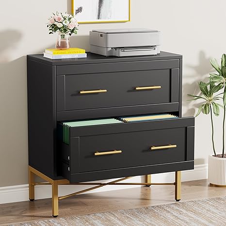 Tribesigns Modern White 2 Drawer File Cabinet, Lateral Filing Cabinet for Letter/Legal/A4 Size, Wood File Storage Cabinets Printer Stand with Storage for Home, Office, White and Gold