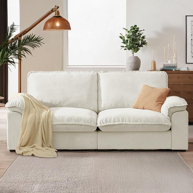 Chenille Cloud Loveseat
