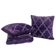 Faux Fur Throw Blanket & Pillow Cover Set