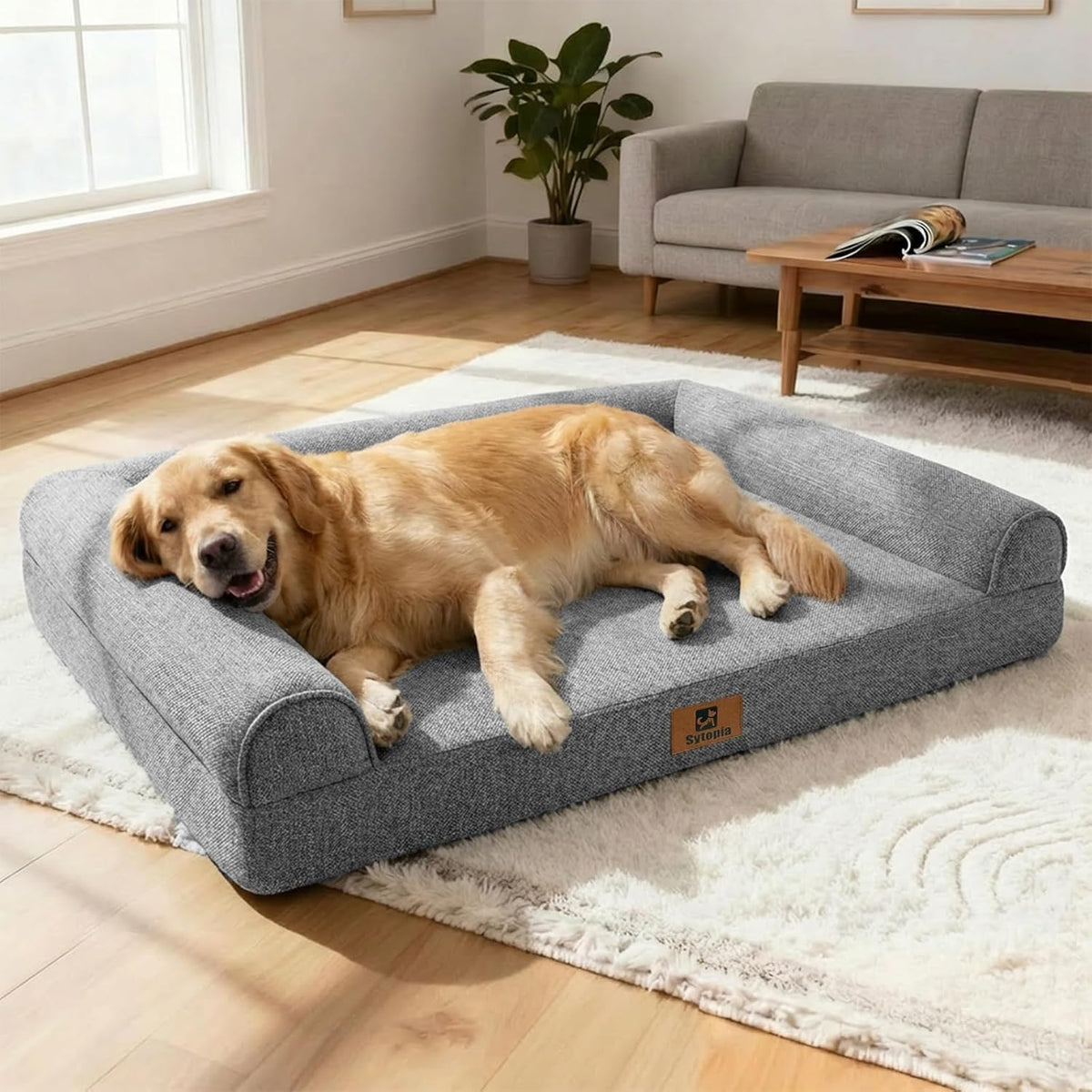 Orthopedic Bolster Dog Bed
