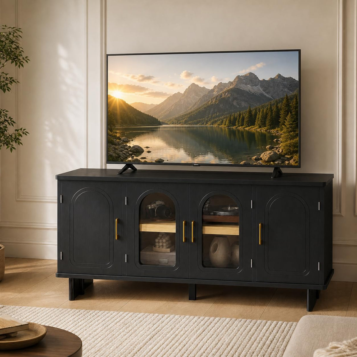 Arched Glass Door TV Stand
