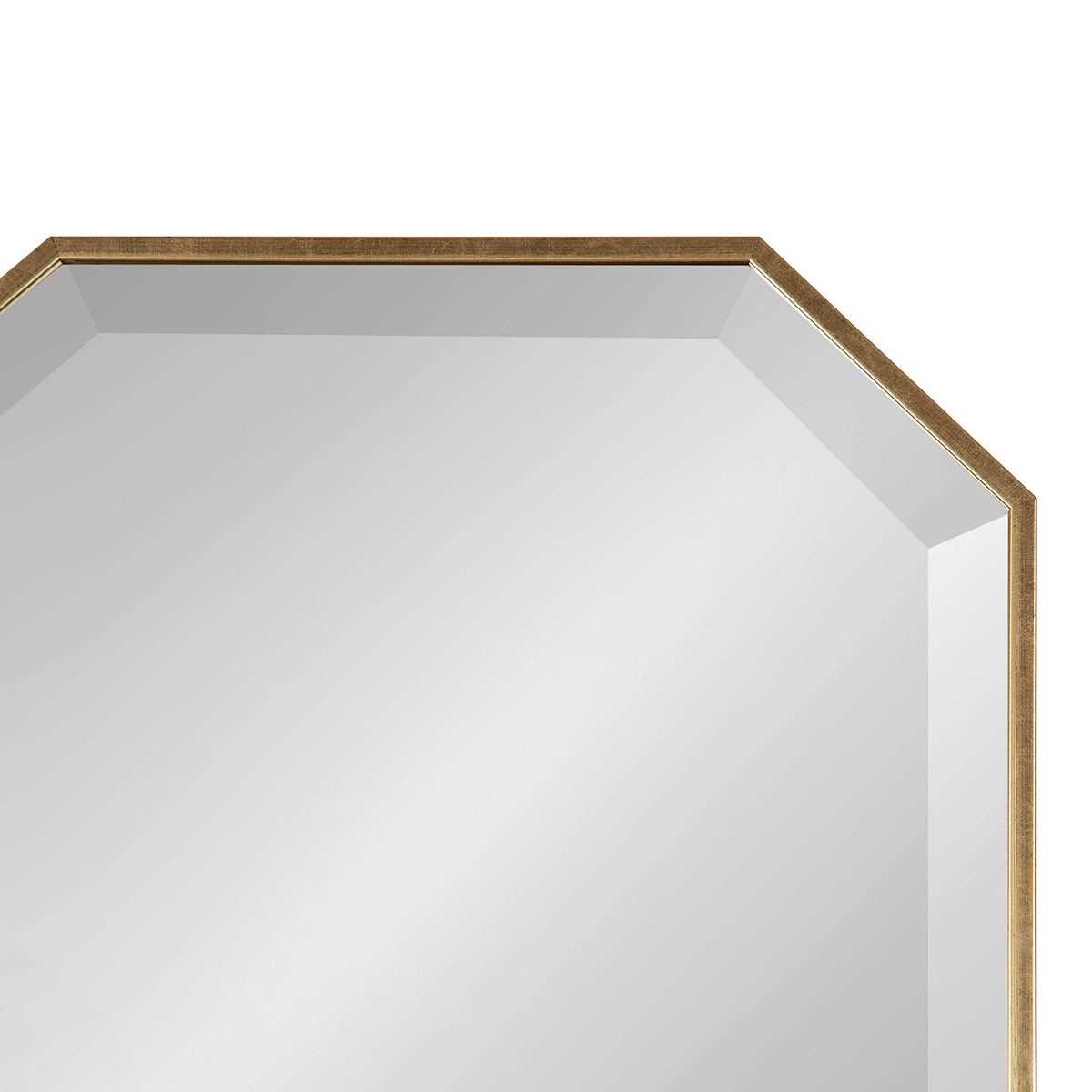 Gold Octagon Full-Length Wall Mirror, 16.75 x 48.75 In
