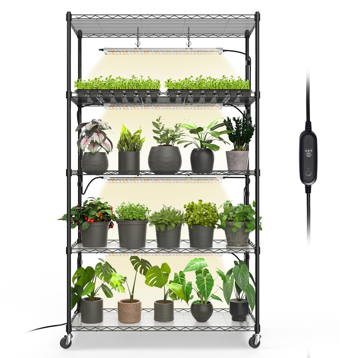 Bstrip 5-Tier Plant Shelf with Grow Light, 35.4x13.8x59in