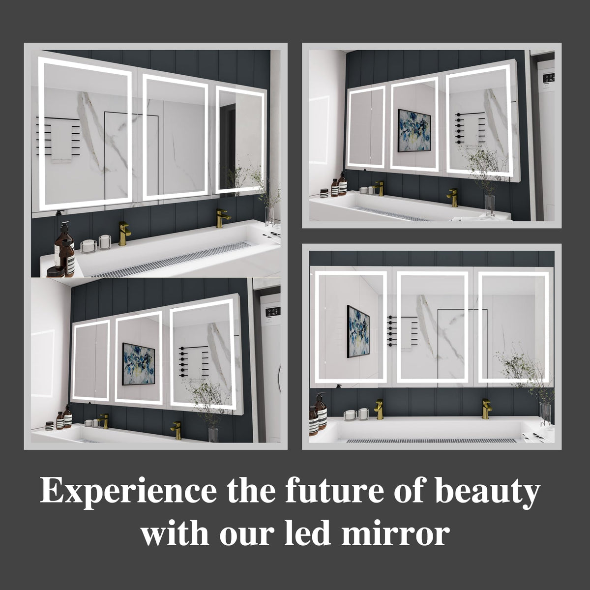 LEDMyplace 72 X 30 Inch LED Lighted Bathroom Mirror Medicine Cabinet, Double Sided Mirror On/Off Switch Hector Style for Bedroom, Living Room, Powder Room, Dressing Room, Hair Saloon