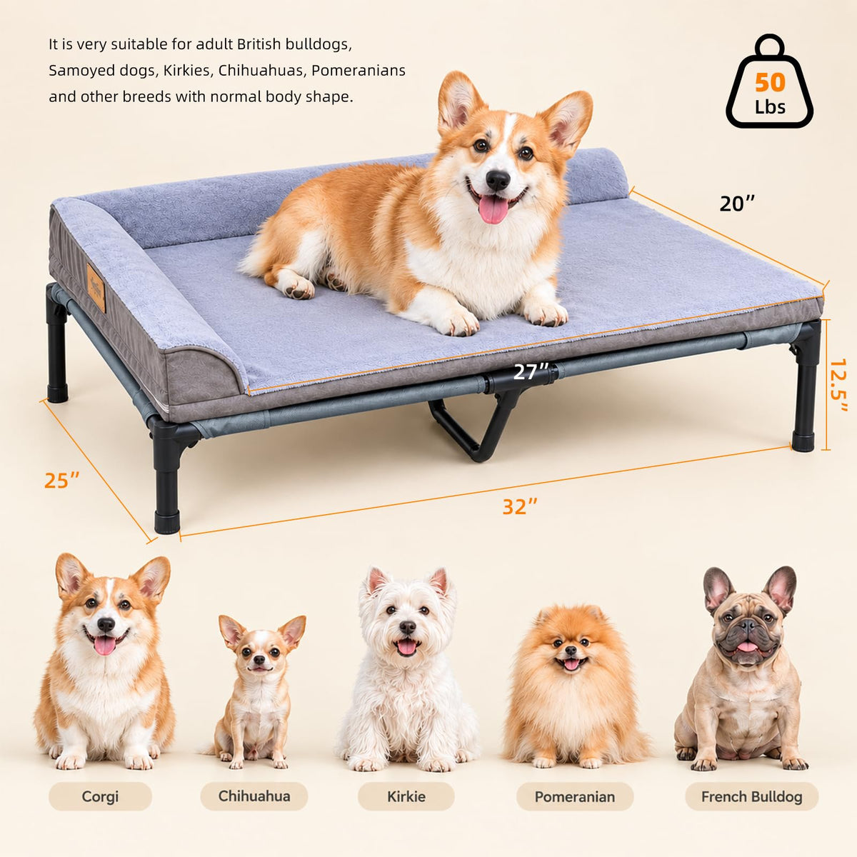 Heated Elevated Dog Bed