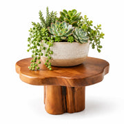 OLLYMER 11" Teak Wood Display Riser, Rustic Pedestal Stand for Decor
