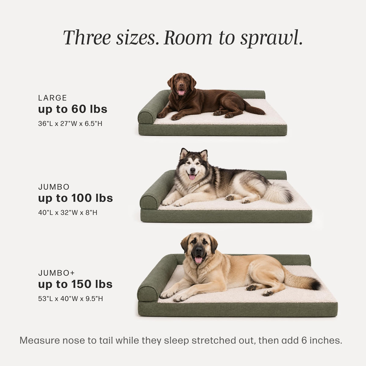 Orthopedic Chaise Dog Bed