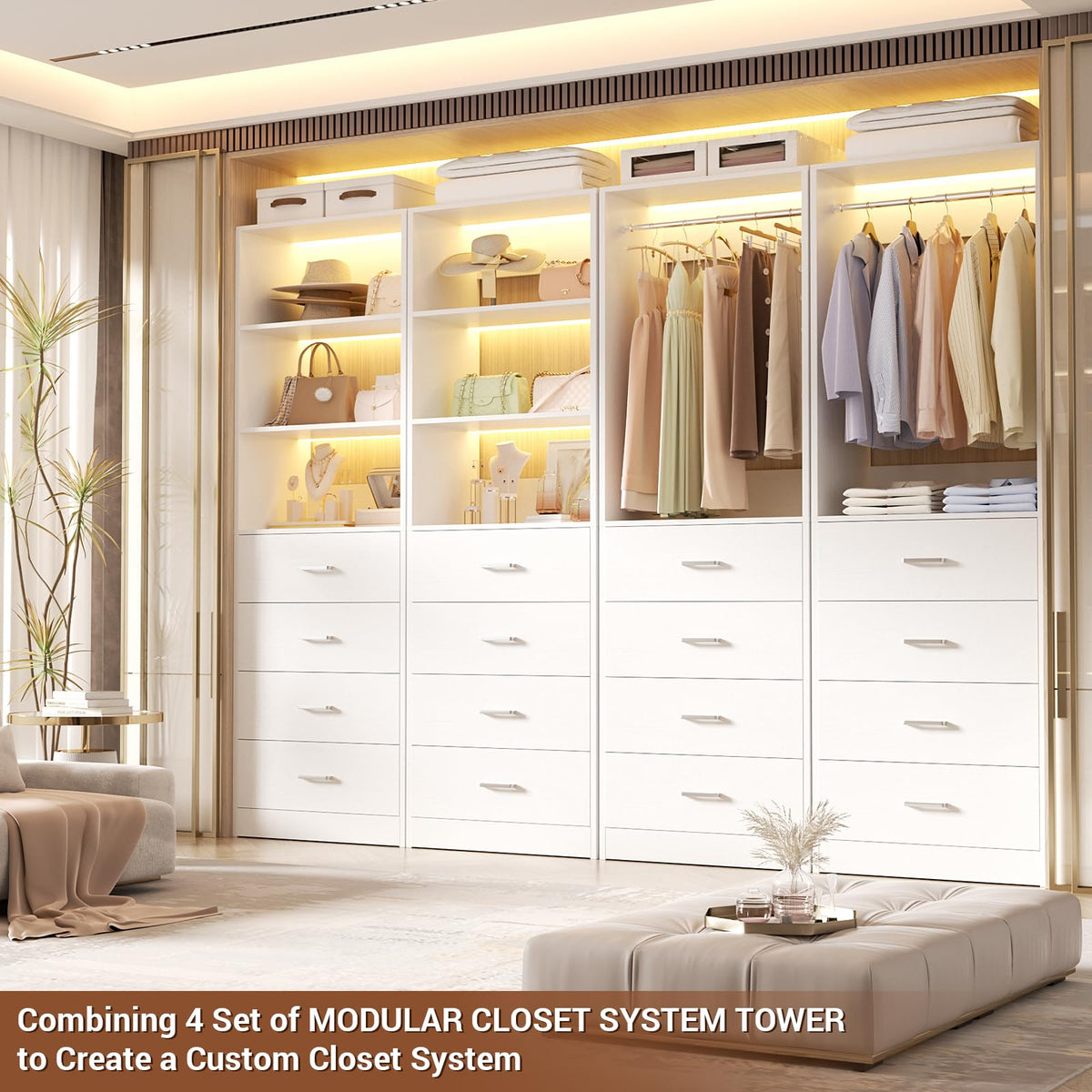 Closet Organizer with 4 Drawers