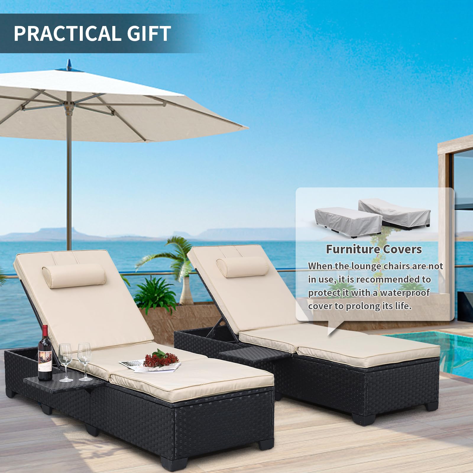 Outdoor Wicker Chaise Lounge Set of 2