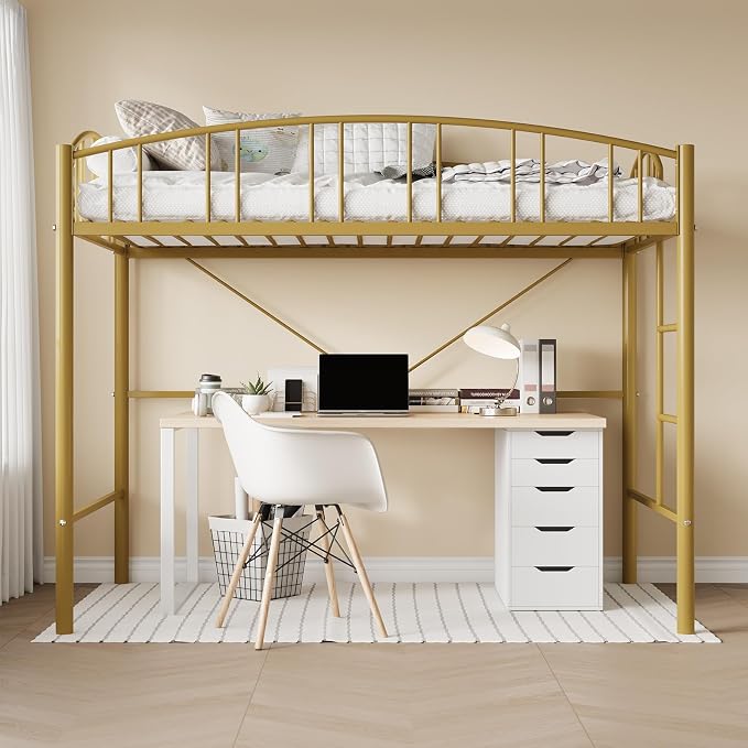 Twin Metal Loft Bed with Ladder