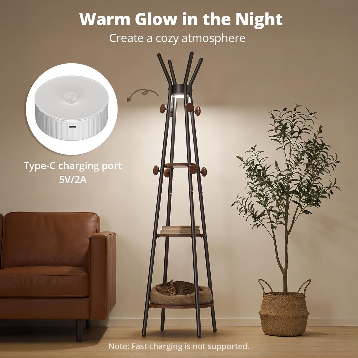 Coat Rack with Sensor Light