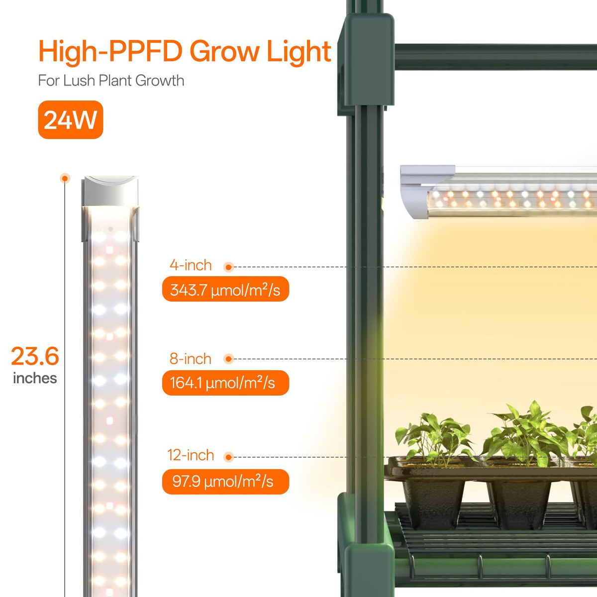 Bstrip Indoor Greenhouse with Grow Light, 5-Tier Large Greenhouse Cabinet