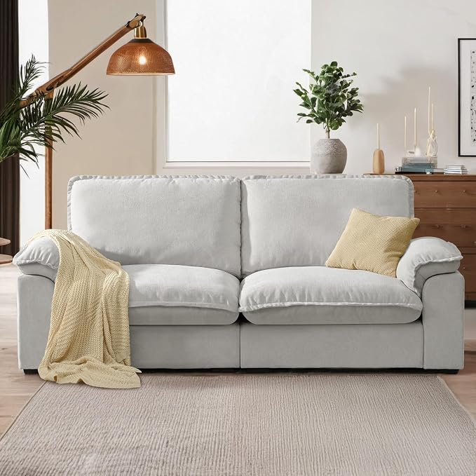 Chenille Cloud Loveseat