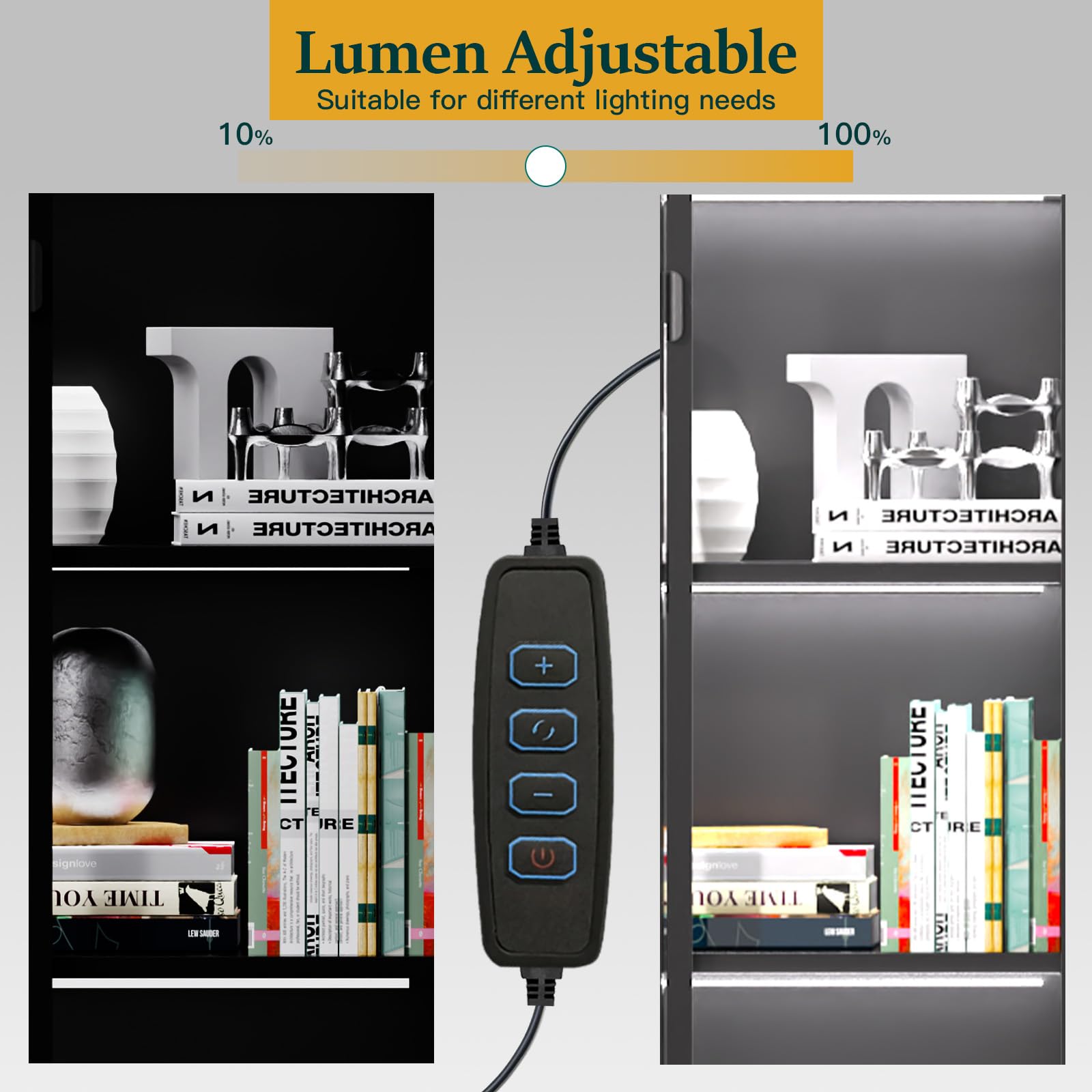 Glass Display Cabinet with LED Lights & Adjustable Shelves