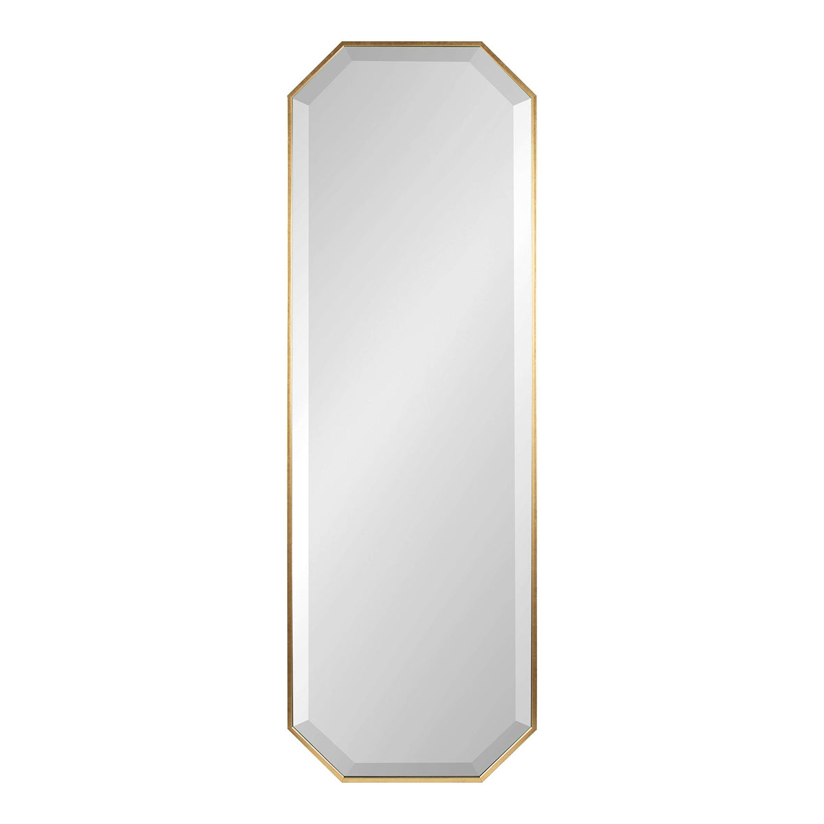 Gold Octagon Full-Length Wall Mirror, 16.75 x 48.75 In