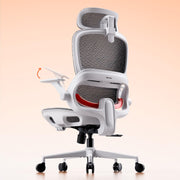 SIHOO B100 Mesh Ergonomic Office Chair with Adaptive Lumbar Support